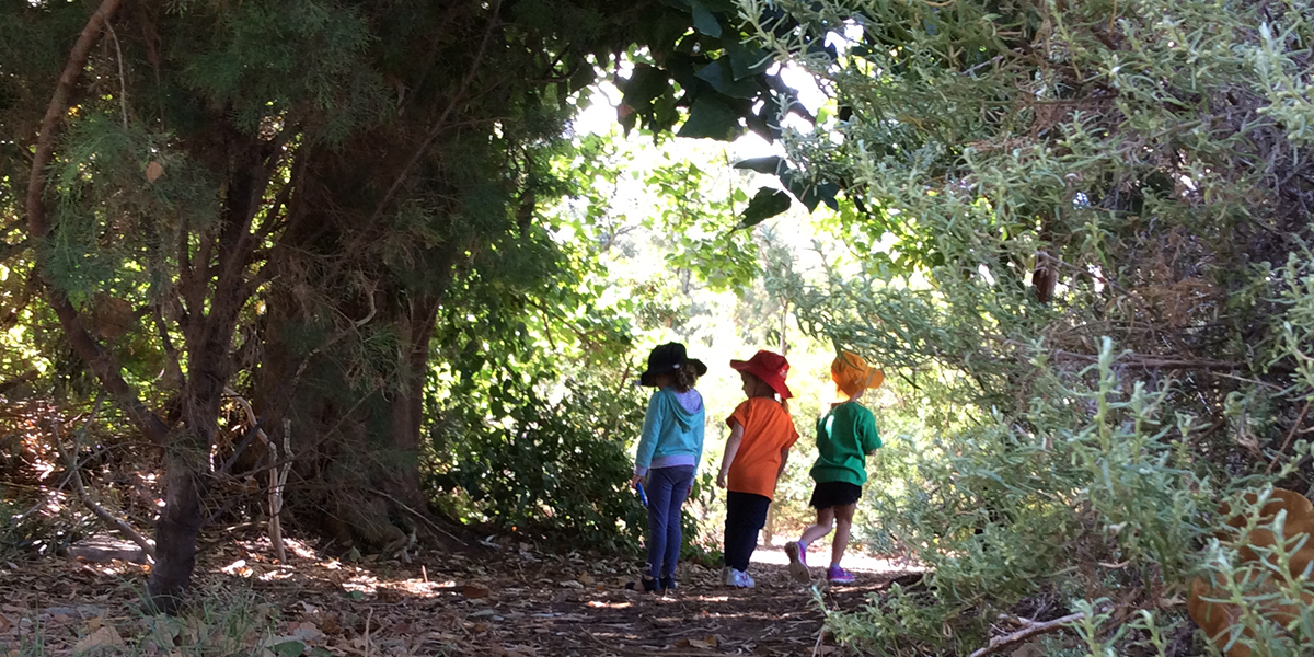 Photo of children walking through nature